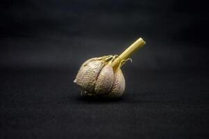 a garlic isolated on black background photo