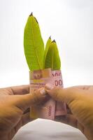 hand holding one hundred thousand rupiah note folded with three leaves isolated on white background photo