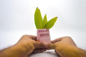 hand holding one hundred thousand rupiah note folded with three leaves isolated on white background photo