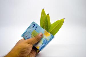 hand holding fifty thousand rupiah notes folded with three leaves isolated on white background photo