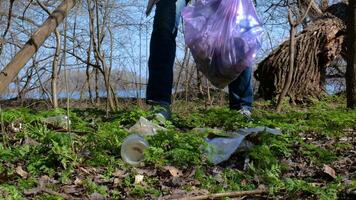 een vrijwilliger Mens verzamelt uitschot in een plastic zak in een stad park. veilig ecologie concept. video