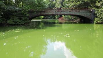 River with Emerald Green Water - Video Capture of Natural Phenomenon. Water Blooming - Serene Flow of Green River Waters. Tranquil Nature Scene of River with Unique Emerald Tones. Captivating Footage