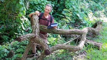 Biologist inspecting a fallen tree trunk to check for diseases and insects video