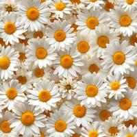 AI Generated A Lot Of White Yellow Daisies or chamomile flowers - for full-frame background and seamless texture photo