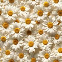 AI Generated A Lot Of White Yellow Daisies or chamomile flowers - for full-frame background and seamless texture photo