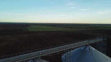 grano ascensore. metallo grano ascensore nel agricolo zona. agricoltura Conservazione per raccolto. grano silos su verde natura sfondo. esterno di agricolo fabbrica. nessuno. video