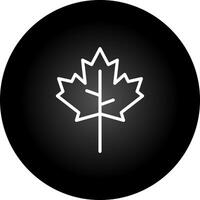 Maple leaf Vector Icon