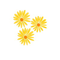 gelbes Sonnenblumen-Design png