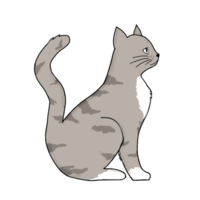 Grey and White Cat png