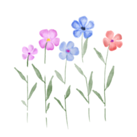 färgrik vattenfärg blommor png