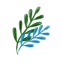 verde y azul acuarela planta png