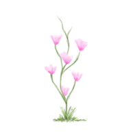 simples aguarela flor plantar png