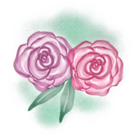 Pink and Purple Watercolor Roses png