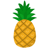Pineapple fruit illustration png