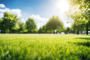 ai generado verde césped en el parque con luz de sol y bokeh fondo, superficial profundidad de campo foto