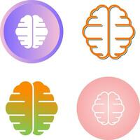 Brain Vector Icon