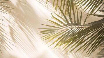 AI generated Tropical palm leaf on white wall background. 3d render photo