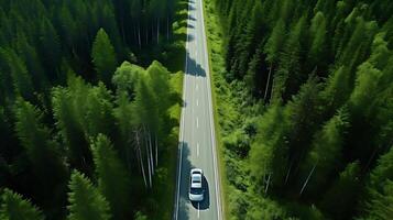 AI generated Car driving on the road through the forest. 3d rendering. photo