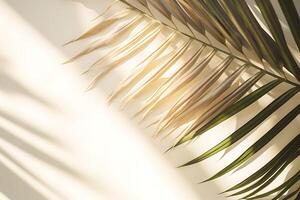 AI generated Palm leaves on white wall background. 3d render illustration. photo