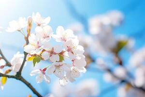 AI generated cherry blossom in spring time with blue sky and white clouds photo