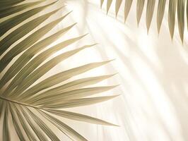 AI generated Palm leaves on white wall background. 3d render illustration. photo