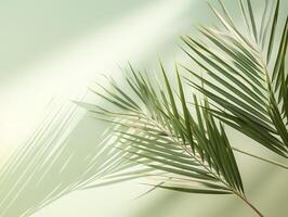 AI generated Tropical palm leaf on white wall background. 3d render photo