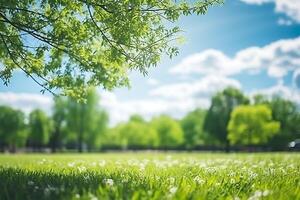 ai generado verde césped en el parque con luz de sol y bokeh fondo, superficial profundidad de campo foto