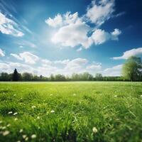 AI generated Green grass in the park with sunlight and bokeh background, shallow depth of field photo