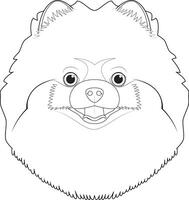 pomeranio o perro de Pomerania perro fácil colorante dibujos animados vector ilustración. aislado en blanco antecedentes