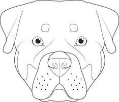 Rottweiler perro fácil colorante dibujos animados vector ilustración. aislado en blanco antecedentes