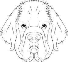 Newfoundland dog easy coloring cartoon vector illustration. Isolated on white background