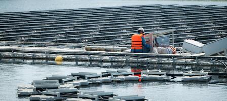 ambos de técnicos son actualmente evaluando y reparando el transmisión terminales para electricidad generado por solar energía en un flotante solar poder sistema. foto