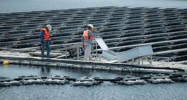 ambos de técnicos son actualmente evaluando y reparando el transmisión terminales para electricidad generado por solar energía en un flotante solar poder sistema. foto