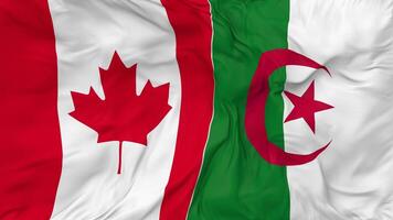 Canada and Algeria Flags Together Seamless Looping Background, Looped Bump Texture Cloth Waving Slow Motion, 3D Rendering video