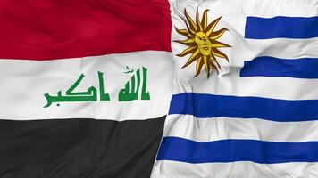 Iraq and Uruguay Flags Together Seamless Looping Background, Looped Bump Texture Cloth Waving Slow Motion, 3D Rendering video