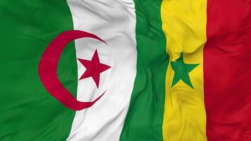 Senegal and Algeria Flags Together Seamless Looping Background, Looped Bump Texture Cloth Waving Slow Motion, 3D Rendering video