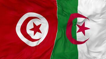 Túnez y Argelia banderas juntos sin costura bucle fondo, serpenteado bache textura paño ondulación lento movimiento, 3d representación video