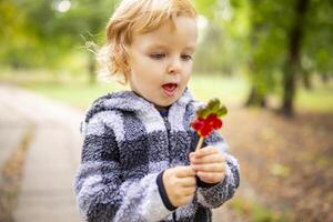 Funny child with candy lollipop, little boy eating big sugar lollipop outdoors photo