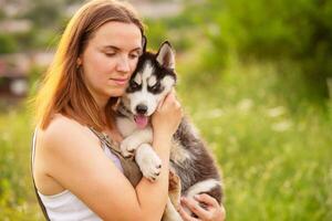 Woman playing with cute little husky puppy dog outdoors. Pet and owner love photo