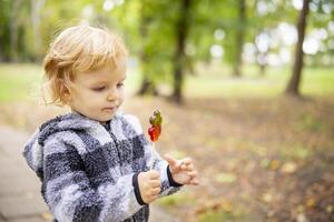 gracioso niño con caramelo chupete, pequeño chico comiendo grande azúcar pirulí al aire libre foto
