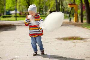 niño chico en un diversión parque come algodón caramelo foto