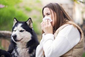 Woman Suffering Allergy Next to Husky Dog photo