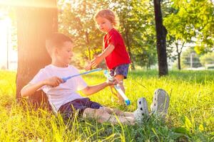 Boy sitting under tree blowing soap bubbles with toddler approaching photo