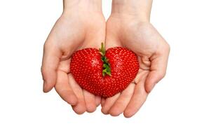 Ugly strawberry in the shape of a heart in children's hands. Funny, ugly vegetables. photo