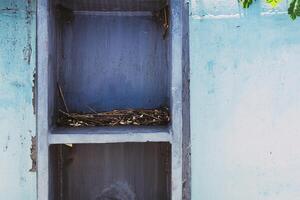 Real Photo of the space along the condominium balcony, pieces of branches and dry leaves where birds used to nest, empty space.