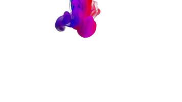 Colorful ink drop on white background video