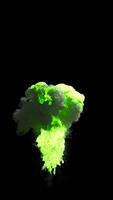 Green volatile particle on black background with alpha channel video