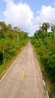 Fast FPV drone flight over tropical road video