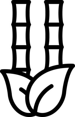 Bamboo Line Icon