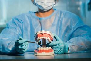 A dental doctor wearing blue gloves and a mask holds a dental model of the upper and lower jaws and a dental mirror photo